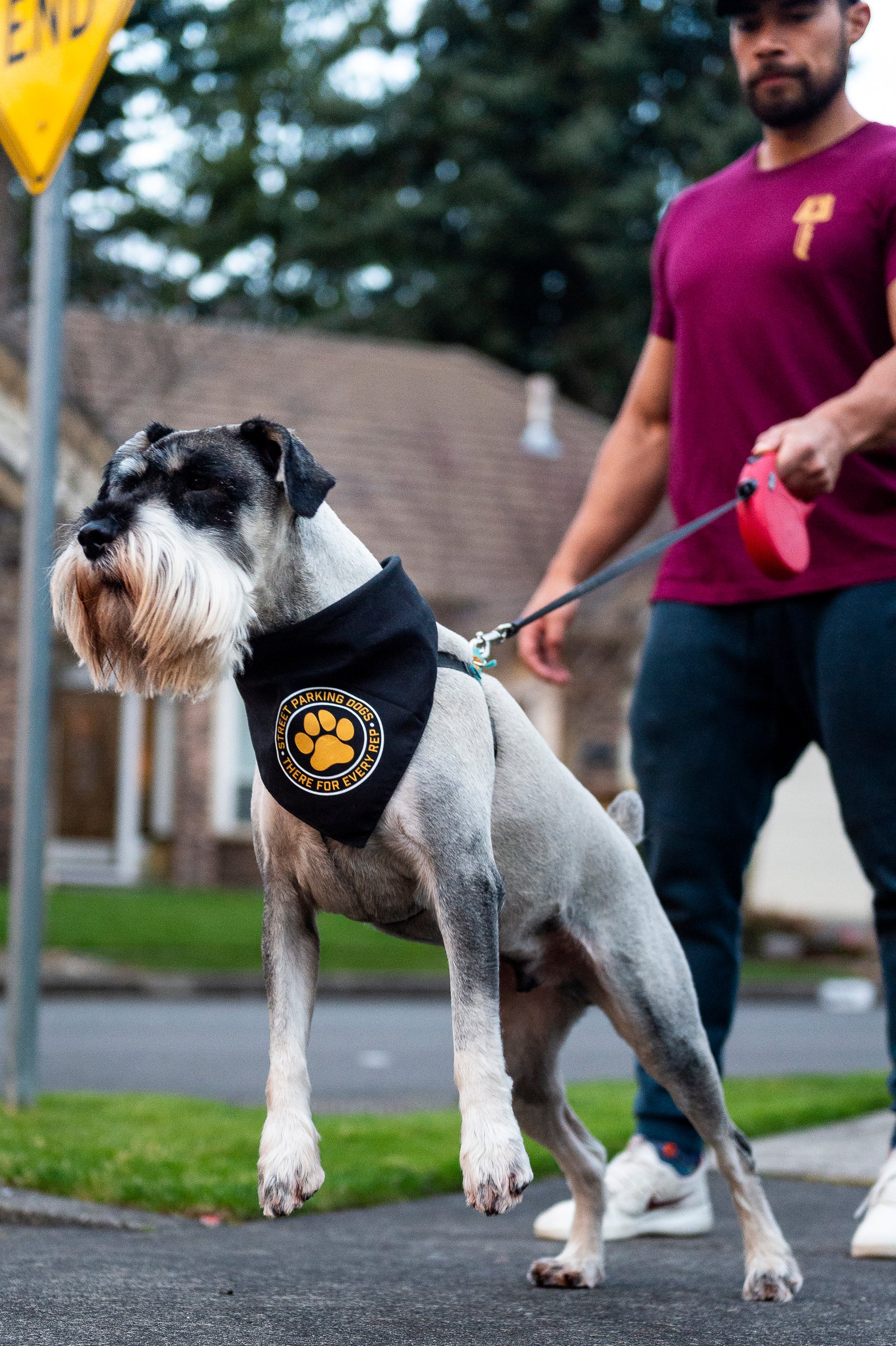 Street Parking Dog Bandana - Street Parking